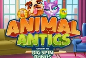 Animal Antics