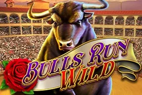 Bulls Run Wild